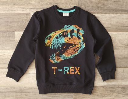 Блуза T-Rex
