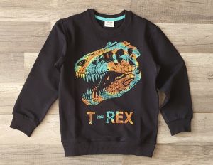 Блуза T-Rex